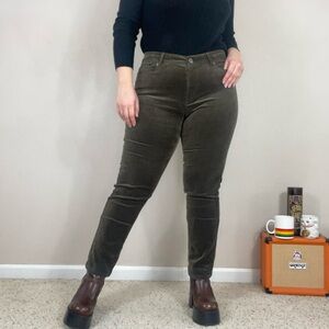 NWT OLIVE GREEN VELVET PANTS